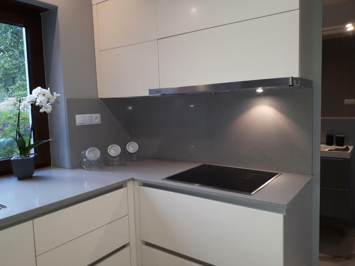 Apartamenty Centrum- Kochanowskiego -Dawniej Two-Bedroom Apartment Zelená Hora Exteriér fotografie